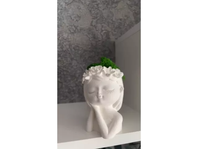 Видео к отзыву