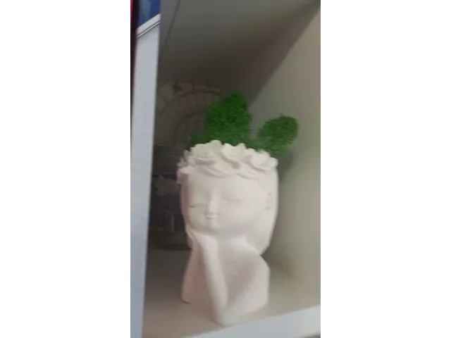 Видео к отзыву